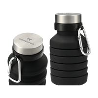 Picture of Silicone Collapsible Bottle 18oz